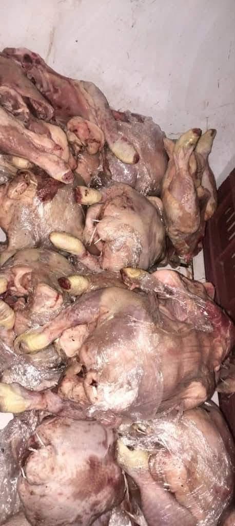 Algerian Authorities Seize Tainted Meat, Jail Butcher in Food Safety Crackdown